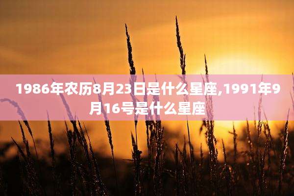 1986年农历8月23日是什么星座,1991年9月16号是什么星座