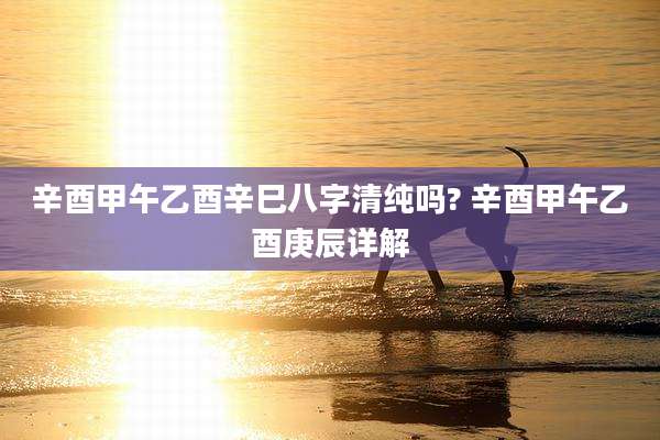 辛酉甲午乙酉辛巳八字清纯吗? 辛酉甲午乙酉庚辰详解