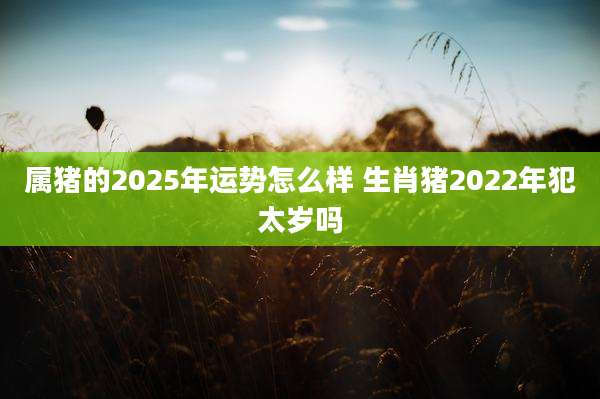 属猪的2025年运势怎么样 生肖猪2022年犯太岁吗