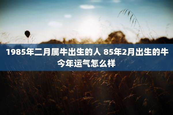 1985年二月属牛出生的人 85年2月出生的牛今年运气怎么样
