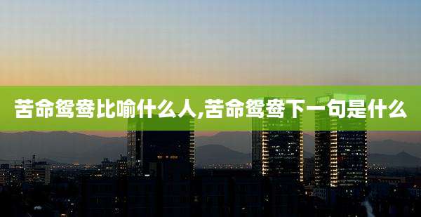 苦命鸳鸯比喻什么人,苦命鸳鸯下一句是什么