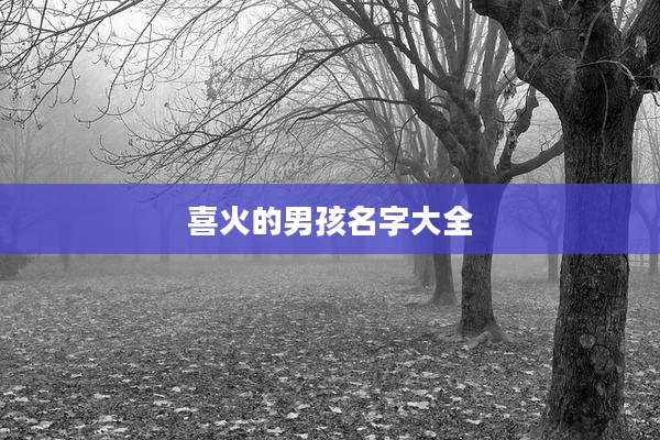 喜火的男孩名字大全