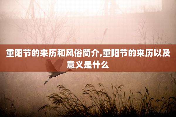 重阳节的来历和风俗简介,重阳节的来历以及意义是什么