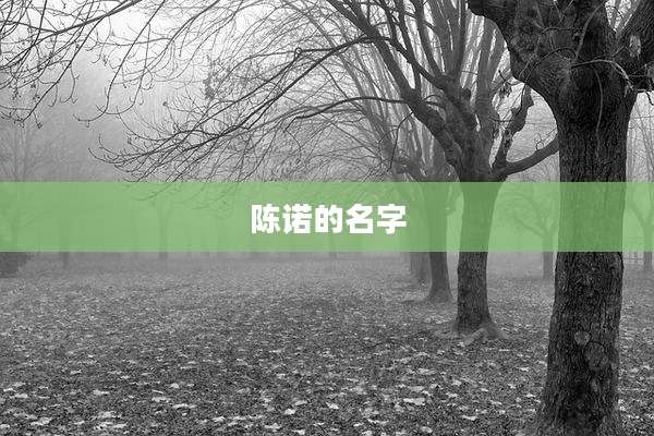 陈诺的名字