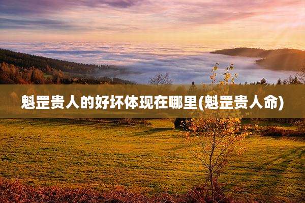 魁罡贵人的好坏体现在哪里(魁罡贵人命)