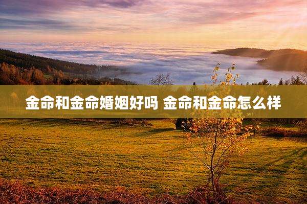 金命和金命婚姻好吗 金命和金命怎么样