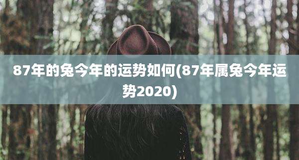 87年的兔今年的运势如何(87年属兔今年运势2020)