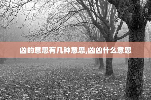 凶的意思有几种意思,凶凶什么意思