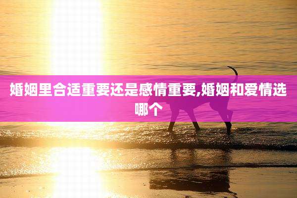 婚姻里合适重要还是感情重要,婚姻和爱情选哪个