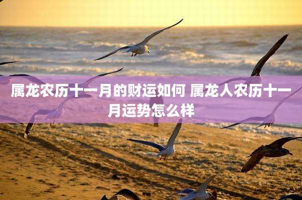 属龙农历十一月的财运如何 属龙人农历十一月运势怎么样