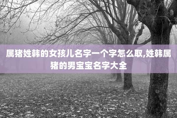 属猪姓韩的女孩儿名字一个字怎么取,姓韩属猪的男宝宝名字大全