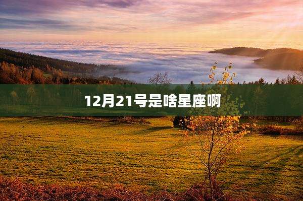 12月21号是啥星座啊