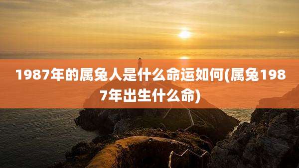 1987年的属兔人是什么命运如何(属兔1987年出生什么命)