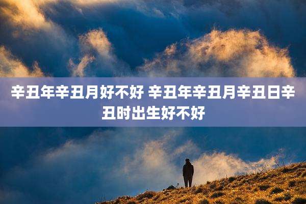 辛丑年辛丑月好不好 辛丑年辛丑月辛丑日辛丑时出生好不好