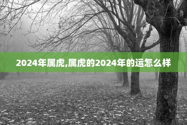 2024年属虎,属虎的2024年的运怎么样