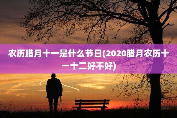 农历腊月十一是什么节日(2020腊月农历十一十二好不好)