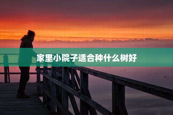 家里小院子适合种什么树好