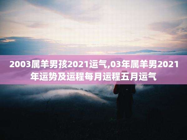 2003属羊男孩2021运气,03年属羊男2021年运势及运程每月运程五月运气