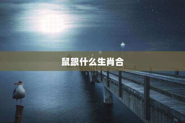 鼠跟什么生肖合
