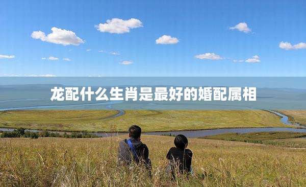 龙配什么生肖是最好的婚配属相