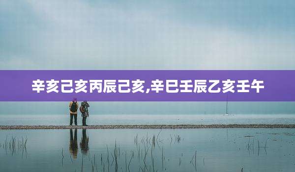 辛亥己亥丙辰己亥,辛巳壬辰乙亥壬午