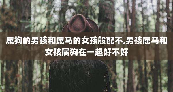 属狗的男孩和属马的女孩般配不,男孩属马和女孩属狗在一起好不好