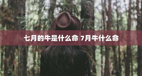 七月的牛是什么命 7月牛什么命