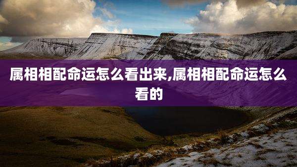 属相相配命运怎么看出来,属相相配命运怎么看的