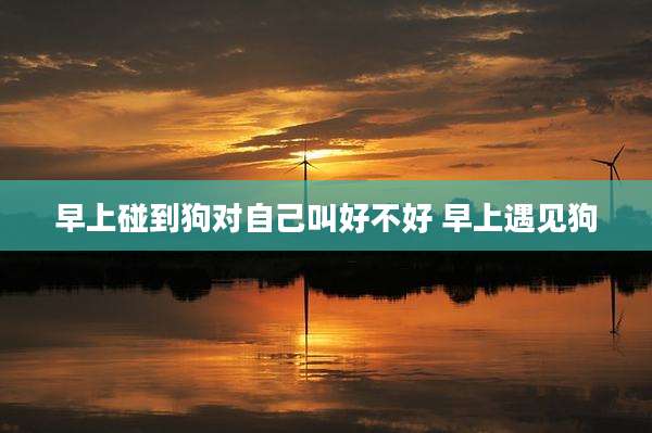 早上碰到狗对自己叫好不好 早上遇见狗