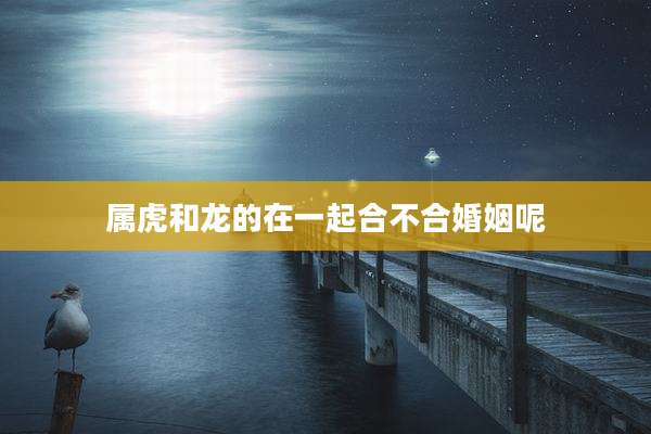 属虎和龙的在一起合不合婚姻呢