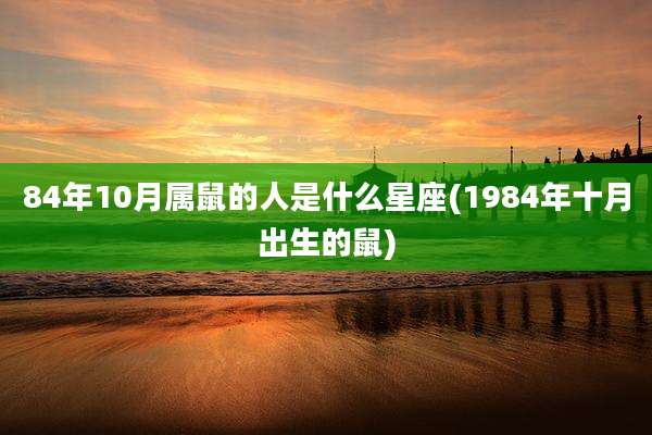 84年10月属鼠的人是什么星座(1984年十月出生的鼠)