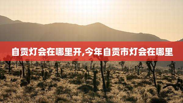 自贡灯会在哪里开,今年自贡市灯会在哪里