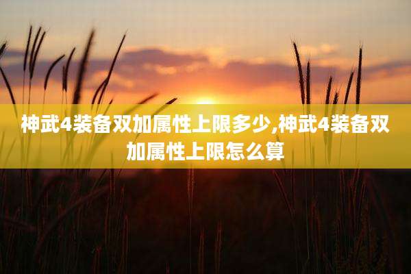 神武4装备双加属性上限多少,神武4装备双加属性上限怎么算