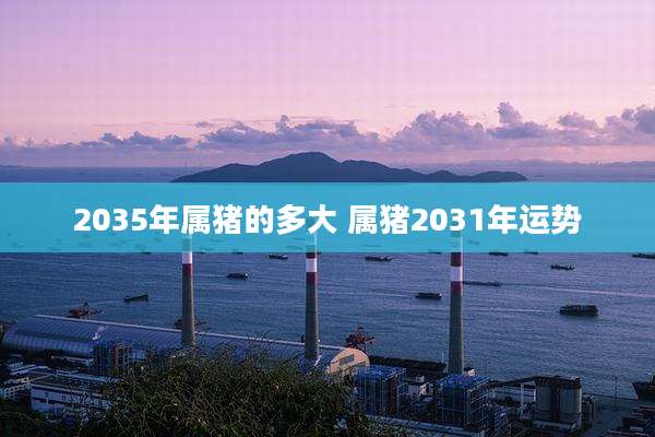 2035年属猪的多大 属猪2031年运势