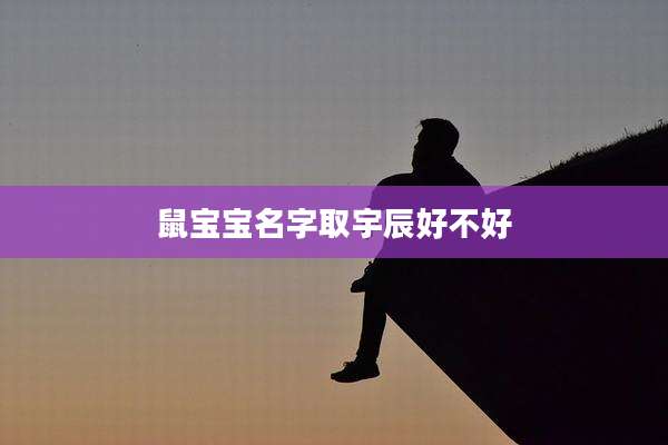 鼠宝宝名字取宇辰好不好