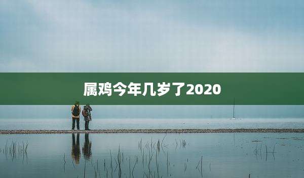 属鸡今年几岁了2020