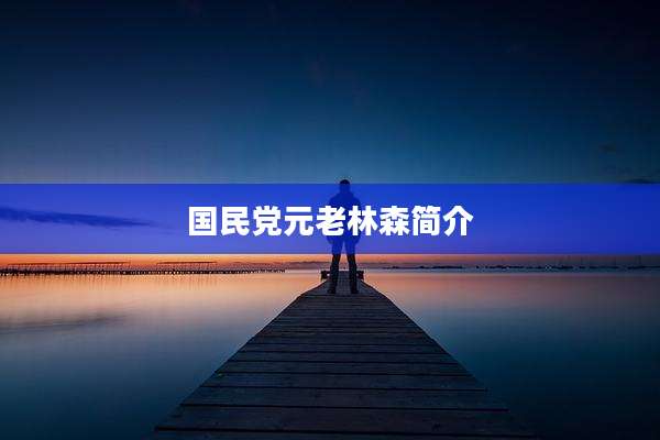 国民党元老林森简介