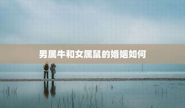 男属牛和女属鼠的婚姻如何