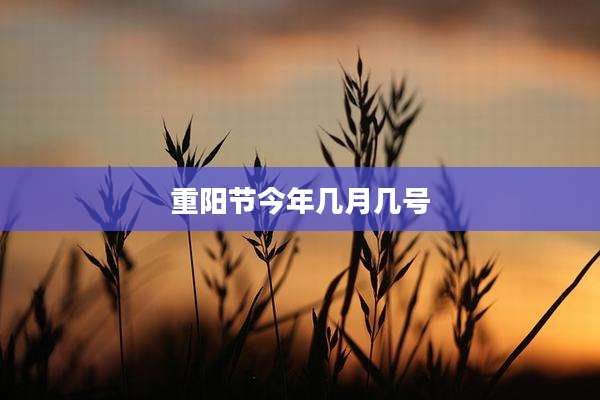 重阳节今年几月几号