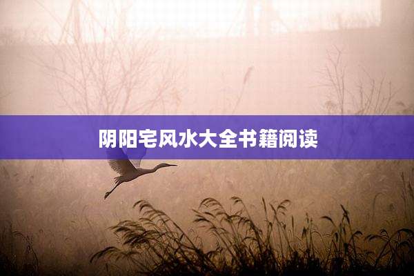 阴阳宅风水大全书籍阅读