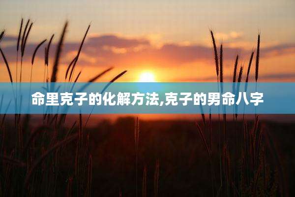 命里克子的化解方法,克子的男命八字
