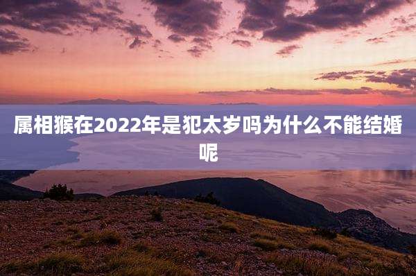 属相猴在2022年是犯太岁吗为什么不能结婚呢