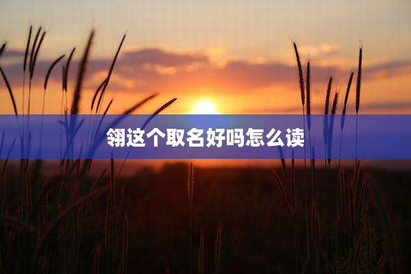 翎这个取名好吗怎么读