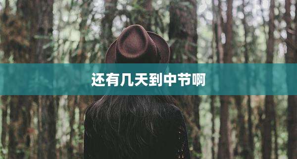 还有几天到中节啊
