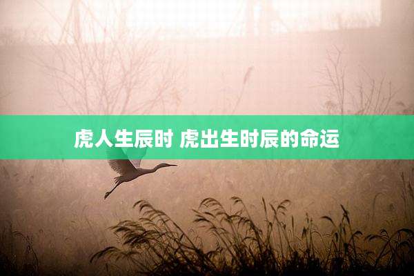 虎人生辰时 虎出生时辰的命运