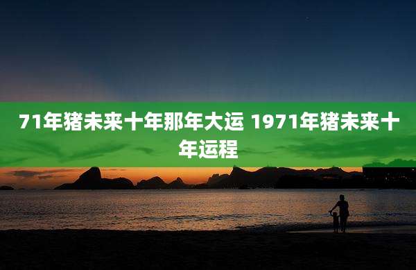 71年猪未来十年那年大运 1971年猪未来十年运程