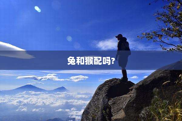 兔和猴配吗?