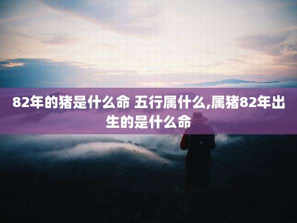82年的猪是什么命 五行属什么,属猪82年出生的是什么命