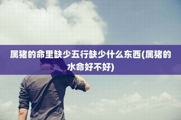 属猪的命里缺少五行缺少什么东西(属猪的水命好不好)