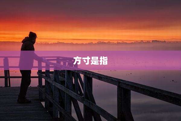 方寸是指